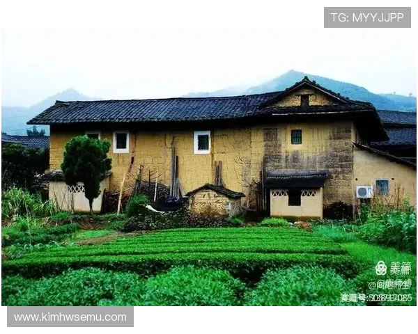 开云地址最新入口推荐，确保玩家安全稳定登录体验全面提升